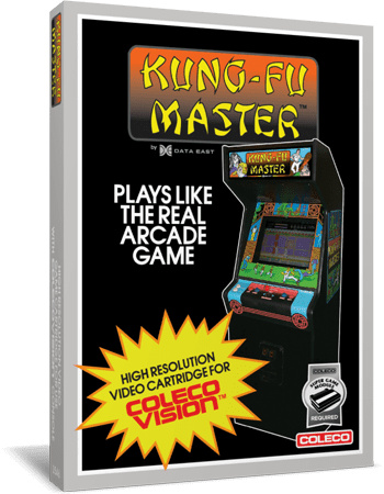 Kung-Fu Master (video game) - Wikipedia